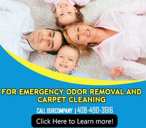 Carpet Cleaning Services - Carpet Cleaning Los Gatos, CA
